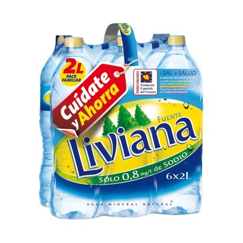 FUENTE LIVIANA AGUA 6x2 LTR.