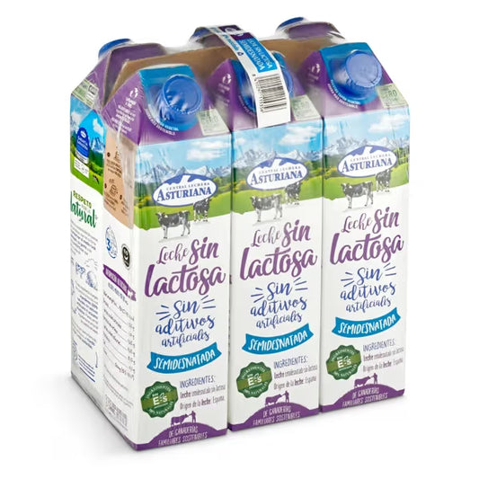 ASTURIANA LECHE SEMI SIN LACT. 6x1 LTR.