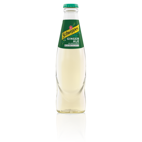 SCHWEPPES GINGER-ALE 24x20 CL.